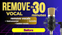 remove vocal frome any track and song in 30 mins