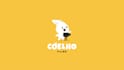 create professional custom logo animation