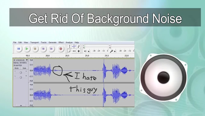 get rid of the background noise in your video or audio