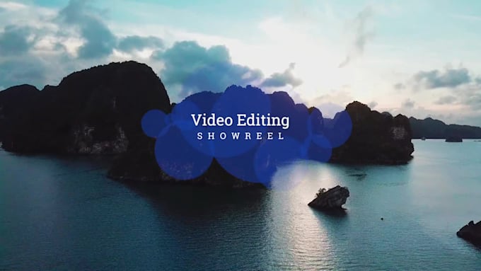 provide professional video editing within 24 hours