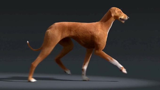 create realistic 3d animal models, rigging, and cgi animation