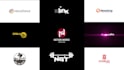 create a professional custom logo animation or intro video