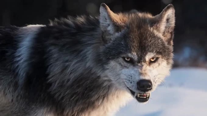 do any 3d animal model 3d animation 3d creature 3d character animation cgi vfx