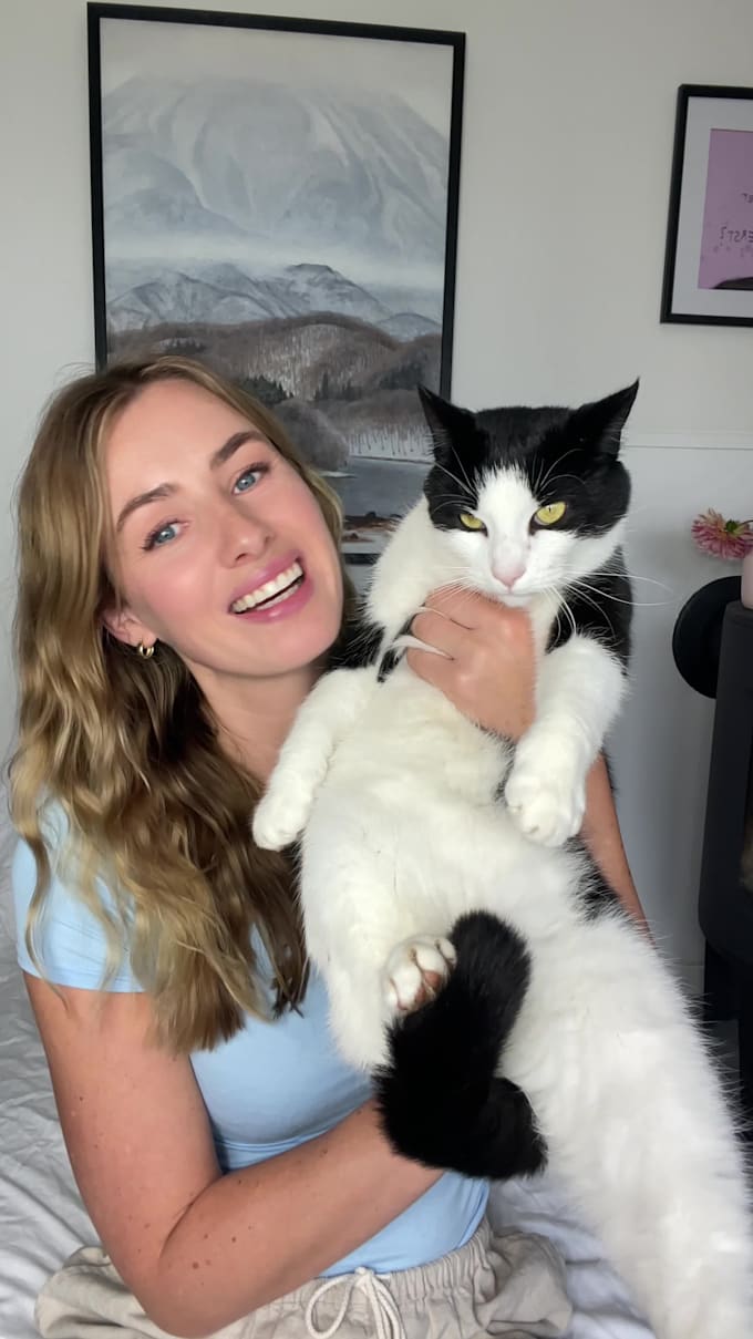 create cat ugc videos in norwegian