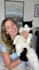 create cat ugc videos in norwegian