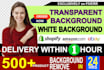 do background removal,clipping path and white transparent png