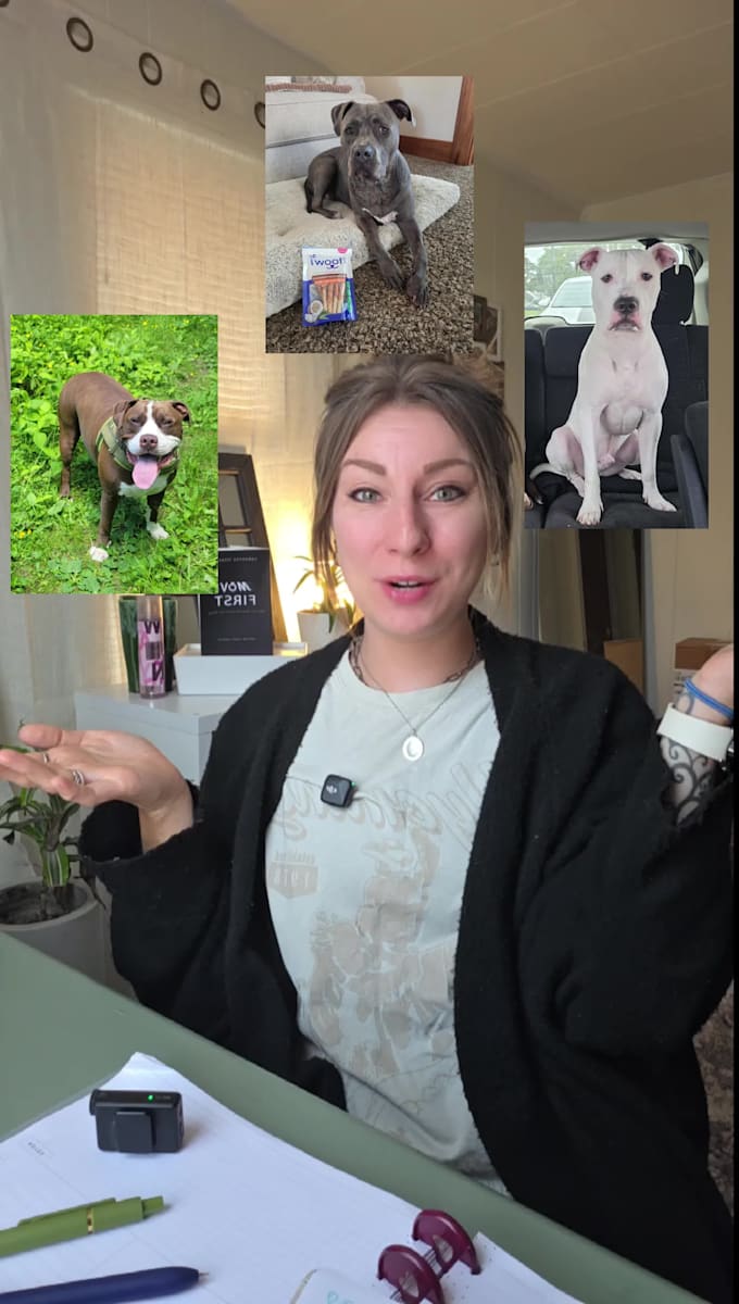 create high converting pet ugc video ads for your product