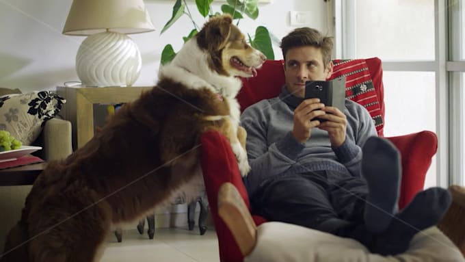 make a funny video ad with a dog purchasing your product