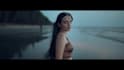 professionally color grade your videos to cinematic quality