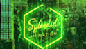 make a splendid rain fx logo or intro animation