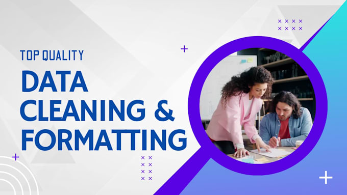 deliver top quality data cleaning, merging, formatting