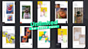 design premium instagram post, stories and ads