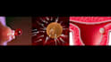 create high quality realistic 3d medical animation, science, modeling
