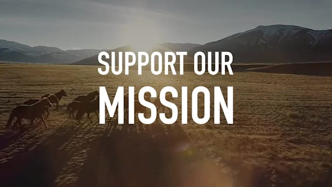 create indiegogo or kickstarter crowdfunding video