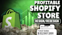 setup 6 figure shopify dropshipping store or profitable shopify website design