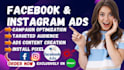 setup and manage facebook and instagram ads campaign