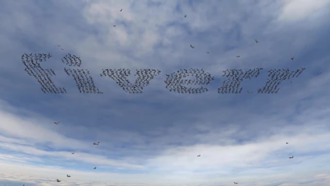 do a skydive formation with your logo or text