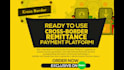 provide ready to use custom cross border remittance payment platform