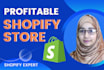 do profitable shopify store and attractive shopify banner slider, shopify expert