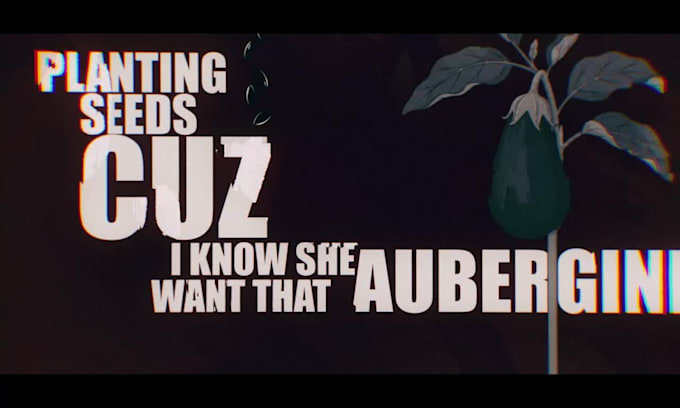 craft a professional rap lyric video