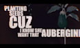 craft a professional rap lyric video