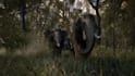 make elephant and animals logo reveal animation