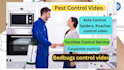 do pest control whiteboard animated explainer video