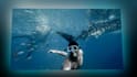 create awesome slideshow video from your photo