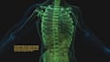 do 3d medical animation 3d medical video surgery animation scientific animation