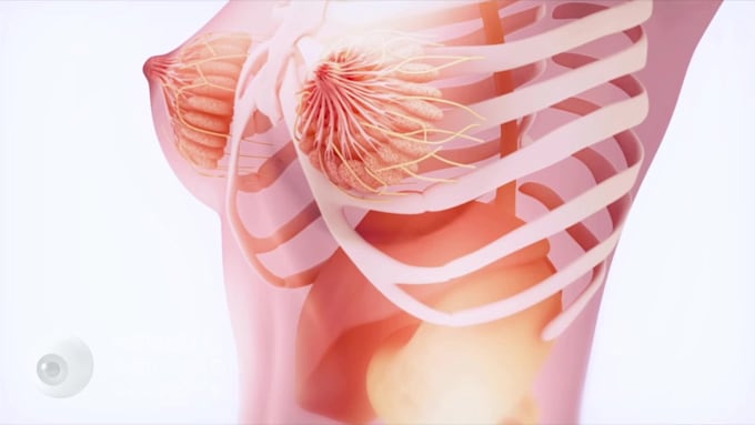 create premium quality 3d medical animation video