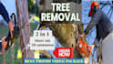 create tree removal video or veteran tree management video