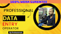 fastest data entry,copy past,web research,excel data entry