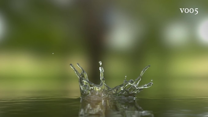 create 5 eye catching water splash logo animation