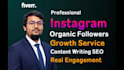 do instagram promotion for super fast organic growth
