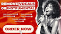 remove the vocals or instrumental from the song