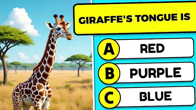 create quiz, trivia questions videos editing for youtube