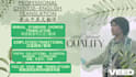 english chinese bidirectional translation