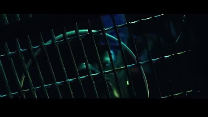 Hot Deals! I will create cinematic trailer promotion teaser book video  for $20