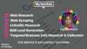 be your virtual assistant, data entry clerk, web researcher, and web scraper
