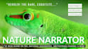 record a voiceover as a nature documentary narrator