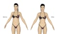 create 3d medical animations for healthcare, science, or education