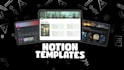 setup your company in notion