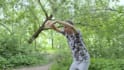 be your qigong instructor