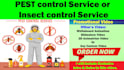 create a pest control video or bedbugs, insect control video