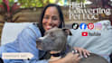 create high converting pet ugc video ads featuring your brand or product