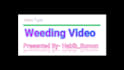 edit your video professionally