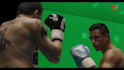 do vfx, rotoscoping, keying and compositing your video