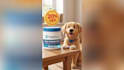 create ai product video pet ads promo video vsl