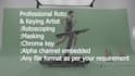 do professional rotoscoping, roto, masking,keying, green screen remove