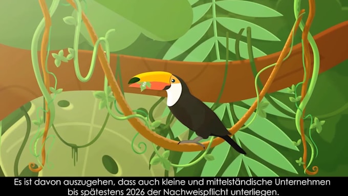 create a custom 2d animated explainer video